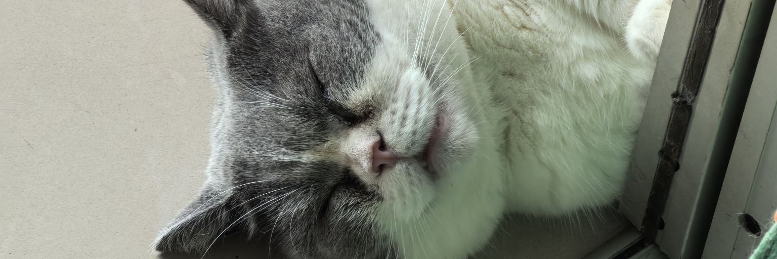 djackjones1983's profile banner image