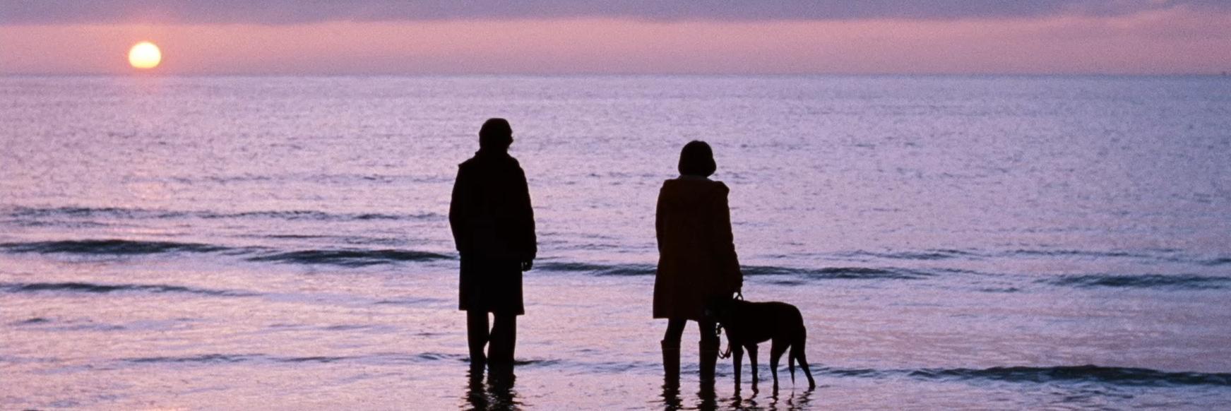 British Cinema banner