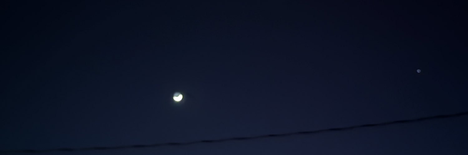 mollyhedger's profile banner image