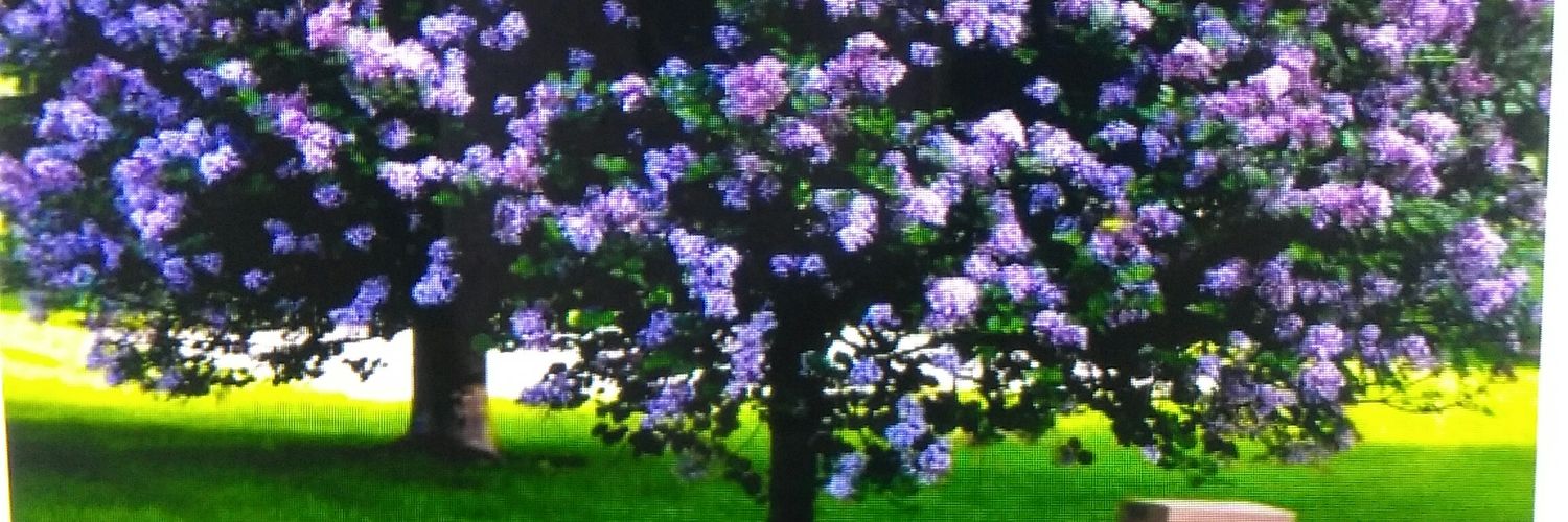 swaggout125's profile banner image