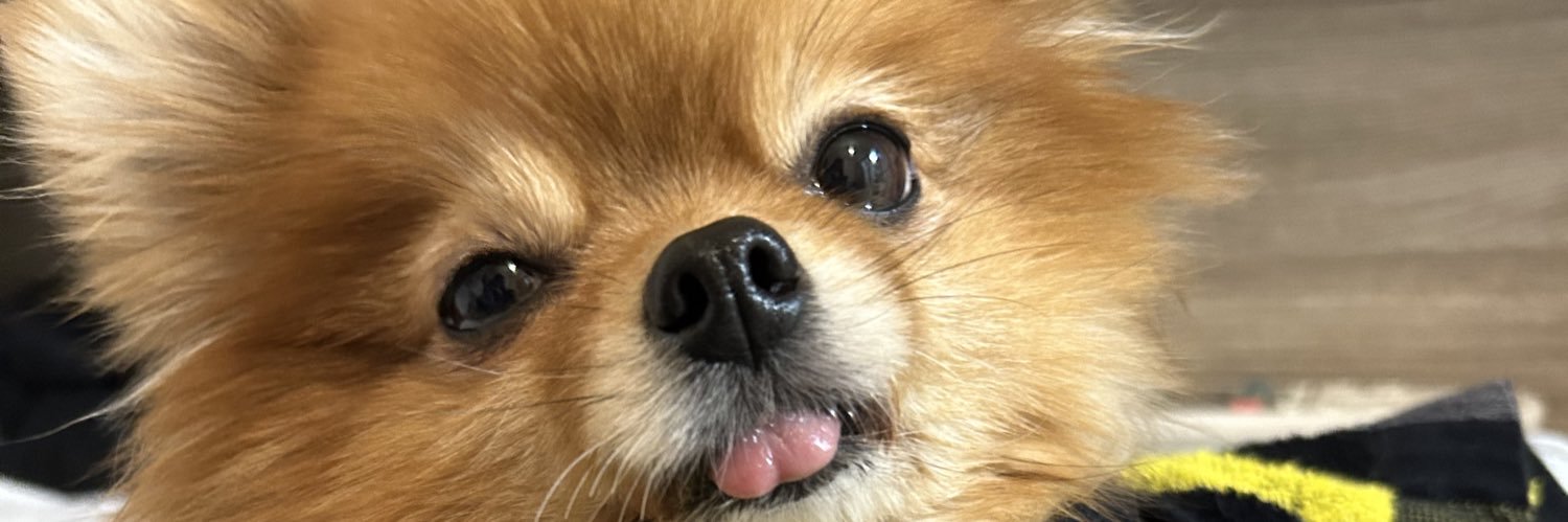 beee1007's profile banner image