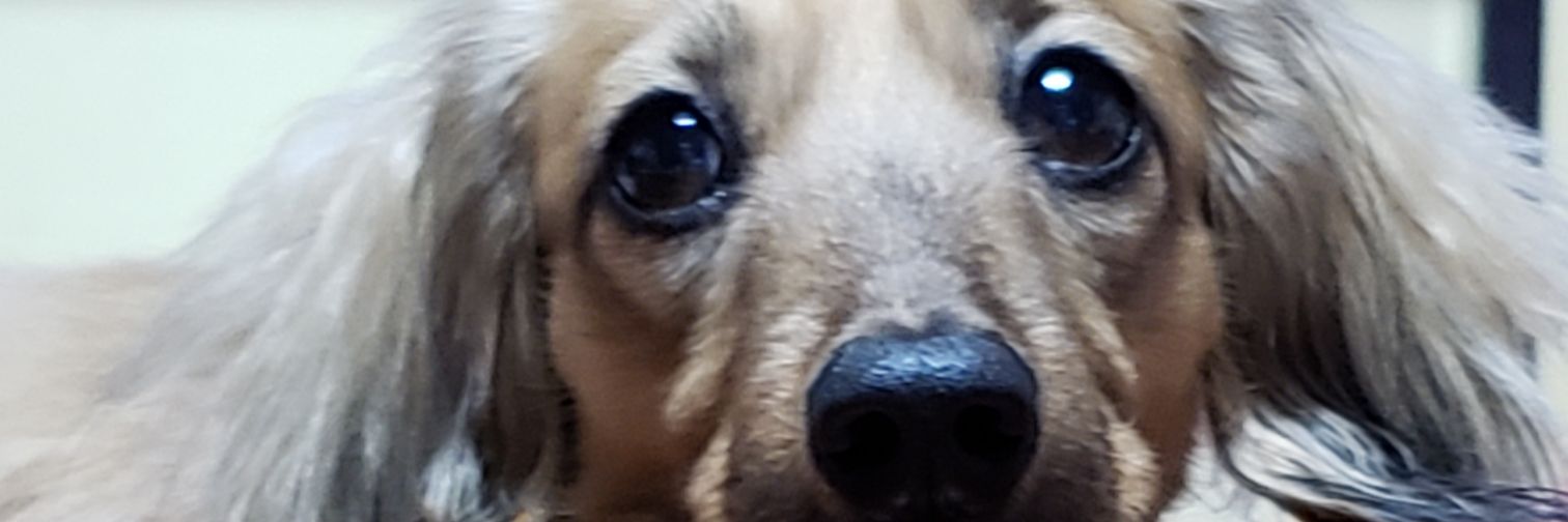 KGiveme's profile banner image