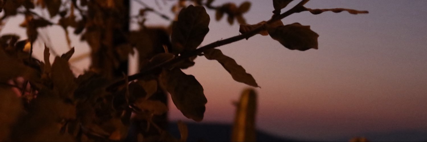 PaulinaEae's profile banner image