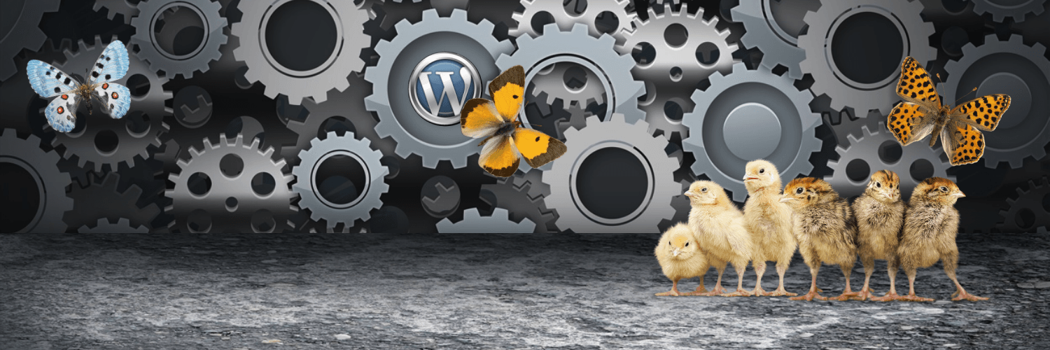 WordPressProfis's profile banner image
