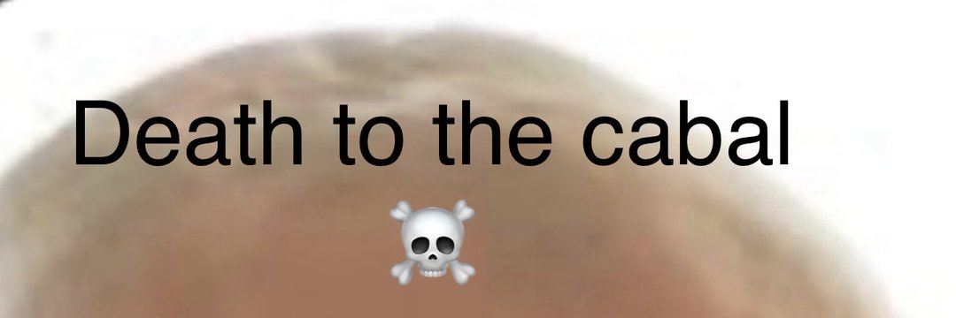 tigersCryptoGod's profile banner image