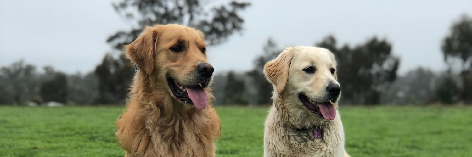 cjdixon11's profile banner image
