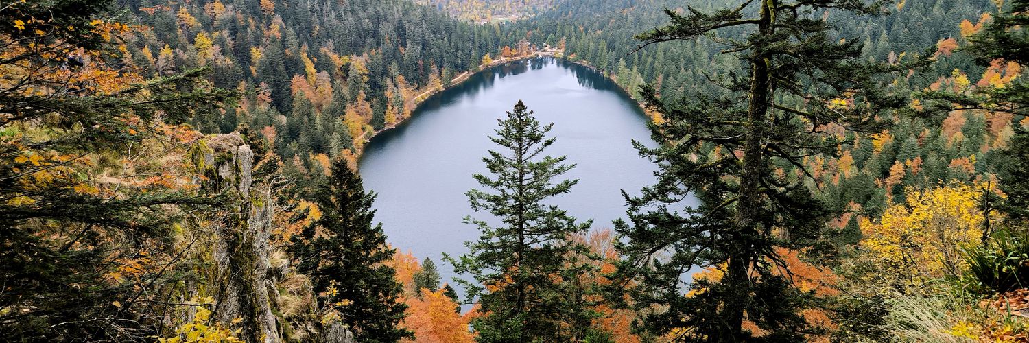 Micka/Xatak🇨🇵🔻 banner