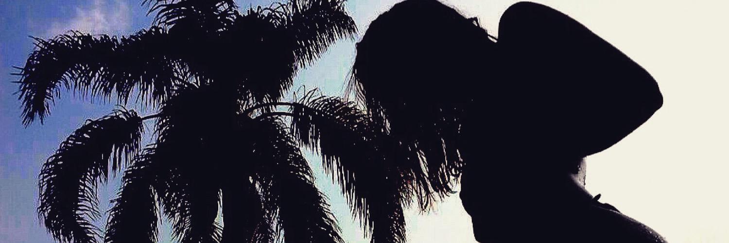 alinepiires's profile banner image