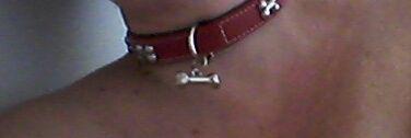 Angyfi6869's profile banner image