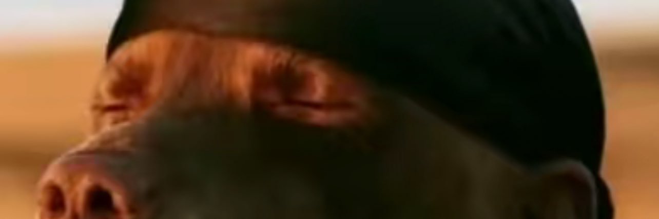 Jugg banner