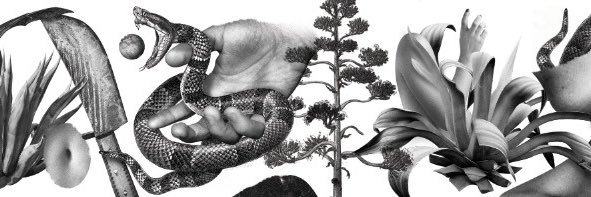 kaiserbell's profile banner image