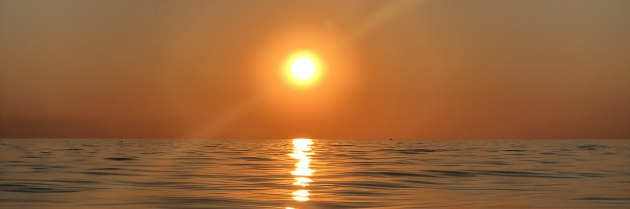 danielle_lorek's profile banner image