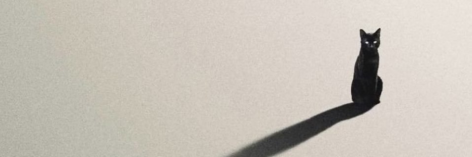 justmemilli_'s profile banner image