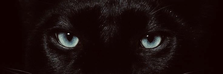 com_kialla's profile banner image