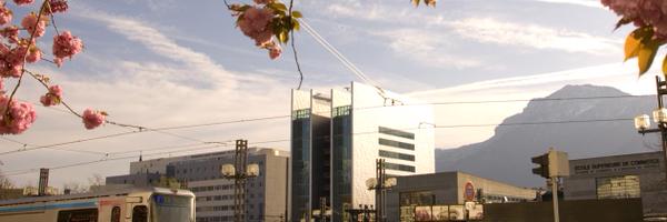 SusanNallet Profile Banner