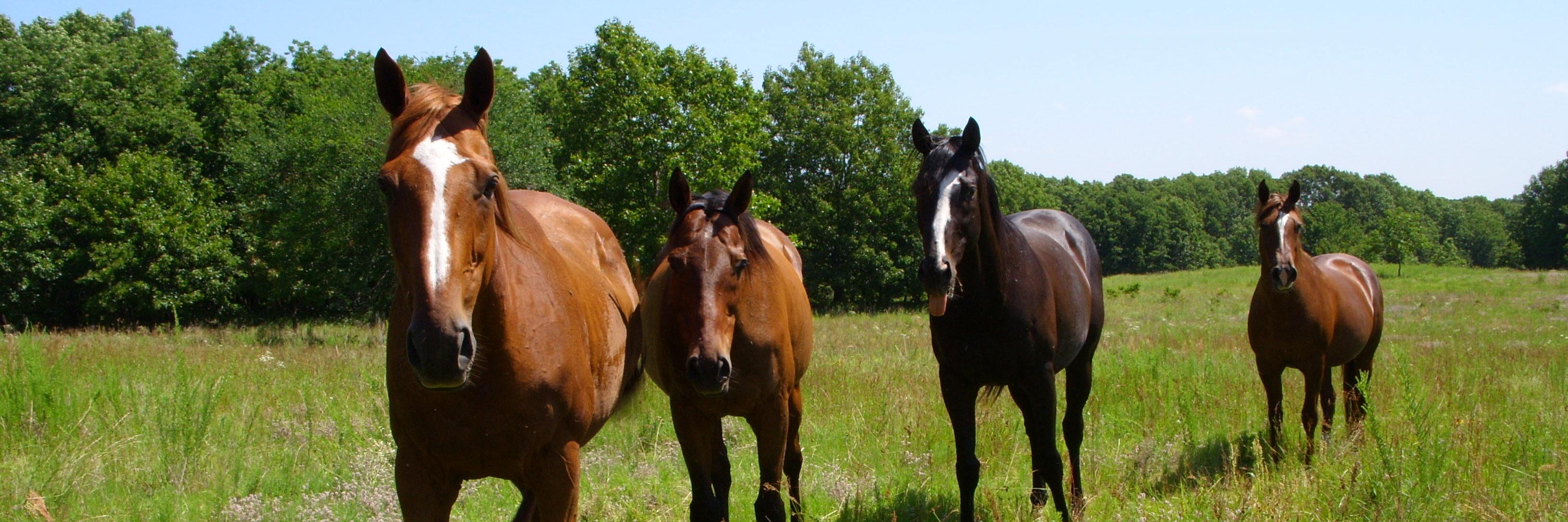 ExcellerFund's profile banner image