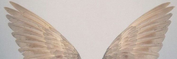 smokinjuuls's profile banner image
