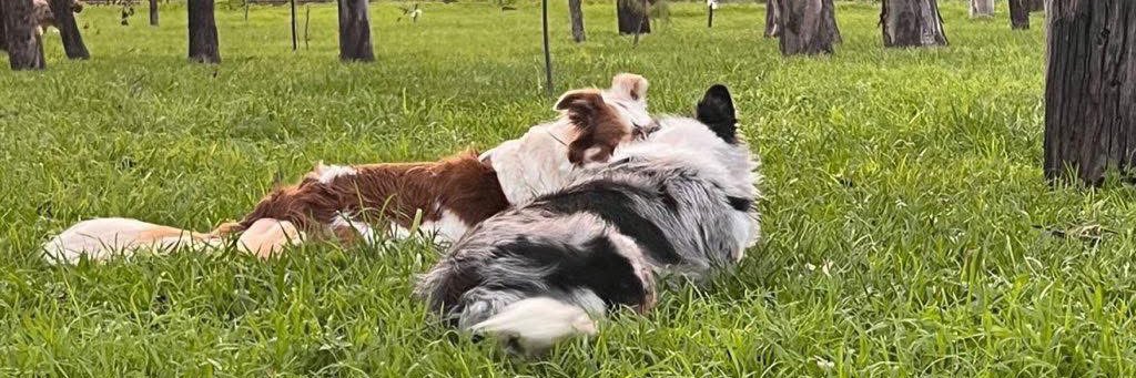 moolarau's profile banner image