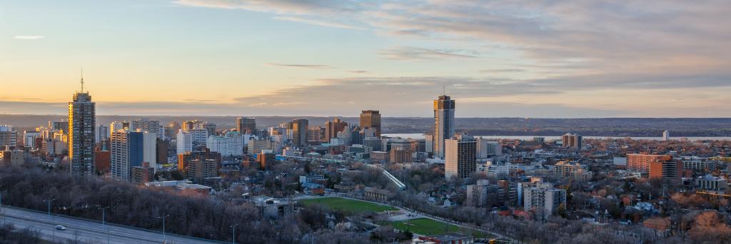 Hamilton EcDev banner