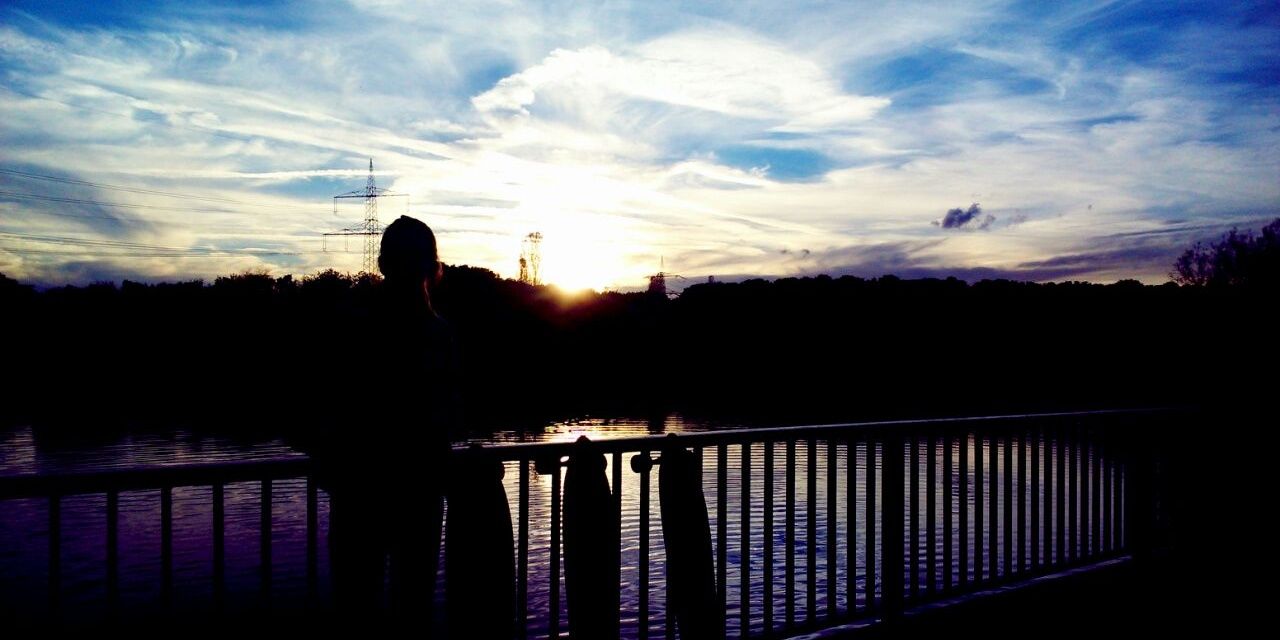 hzudemellen's profile banner image