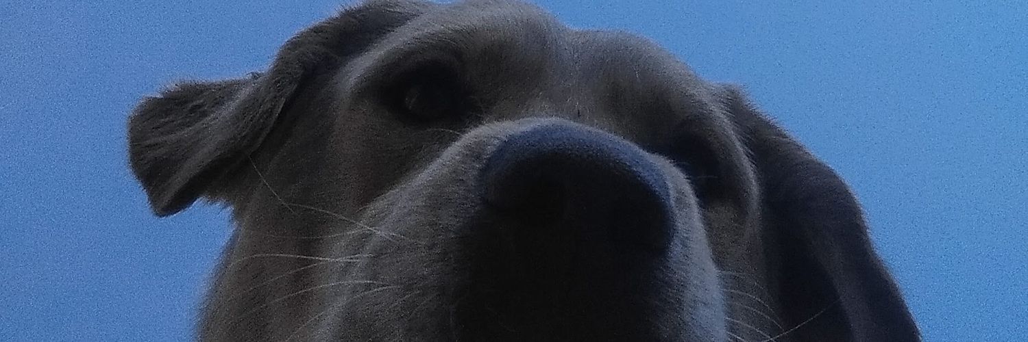 BeluuuFalcon's profile banner image