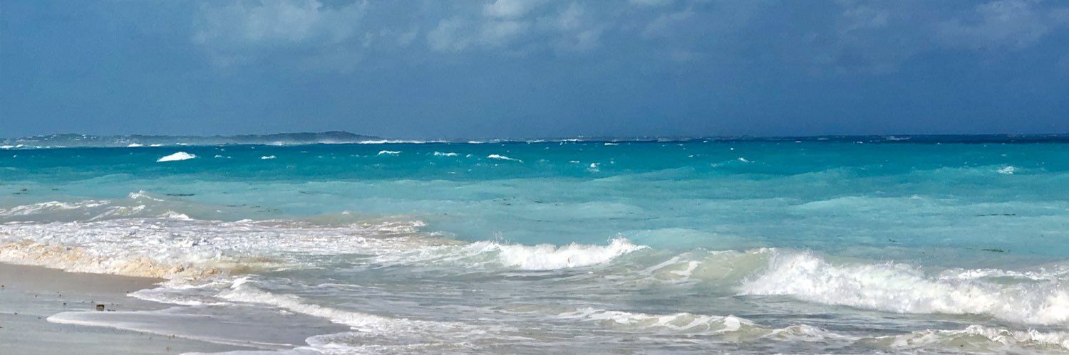 Frances Townsend banner