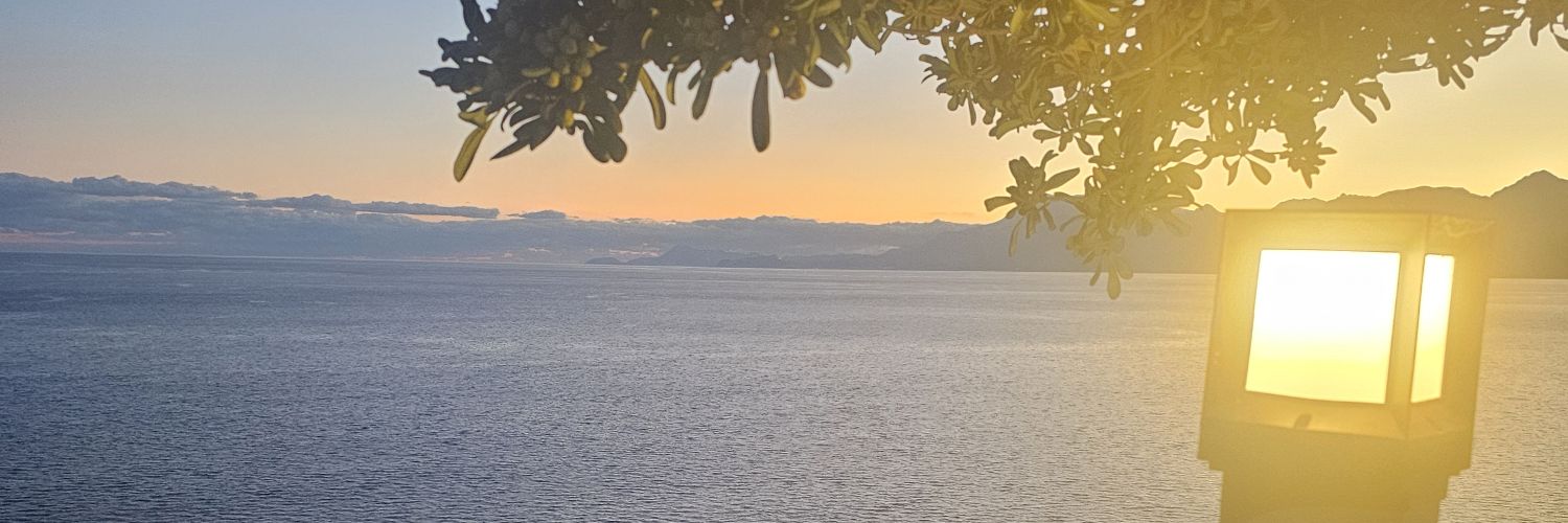 Melih Kadioglu banner