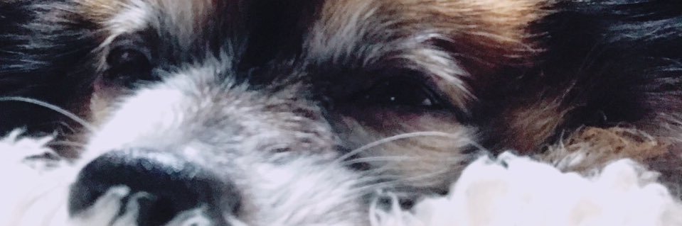 XblKh's profile banner image