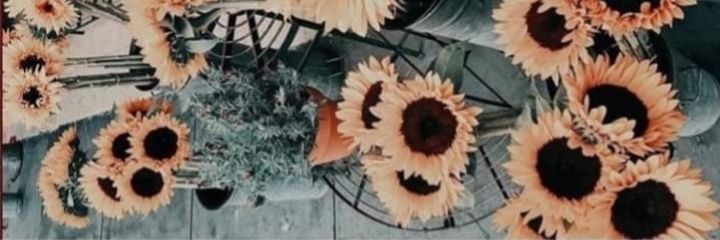 rocio_vizgon's profile banner image