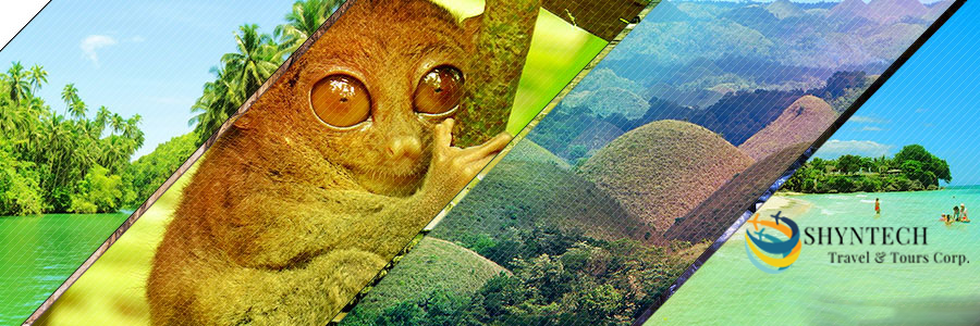 Shyn_tours's profile banner image