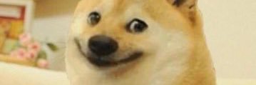 paddboi's profile banner image