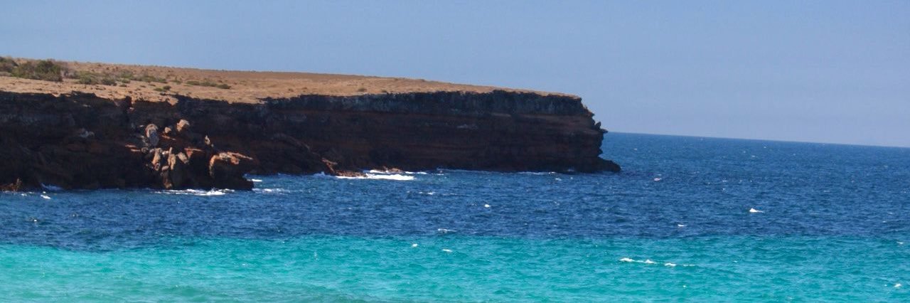 BurnebySheep's profile banner image