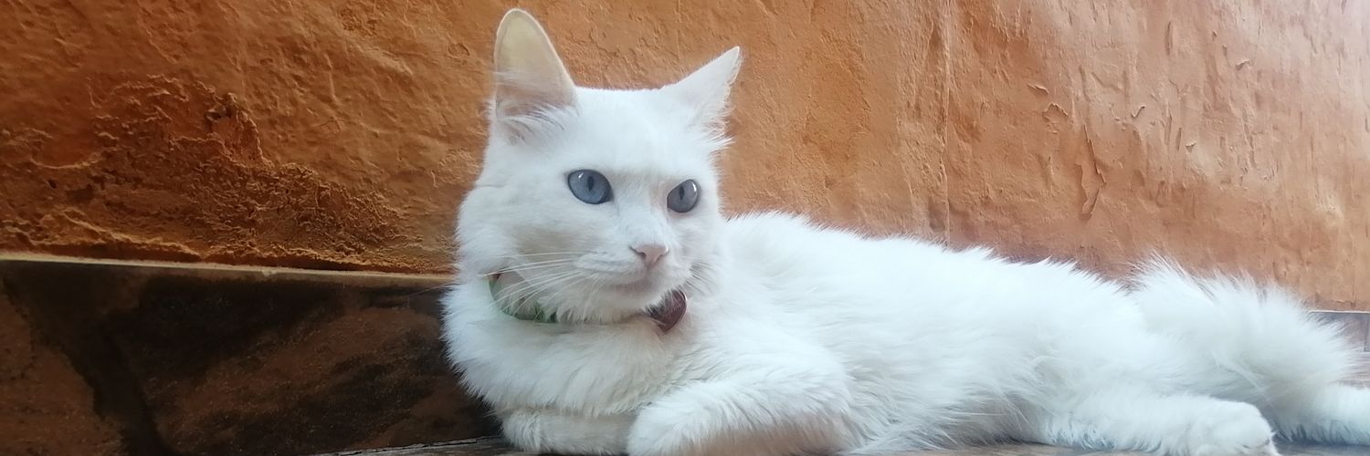 sevofer12's profile banner image