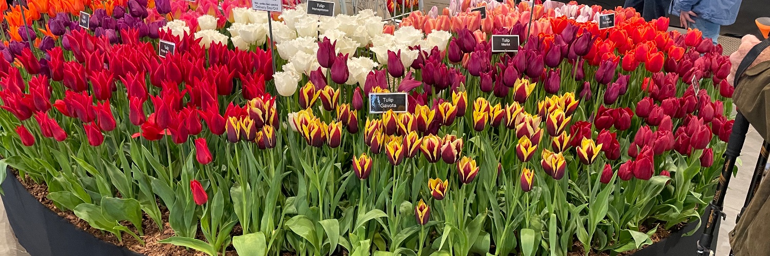 Scott-SE Landscaping banner