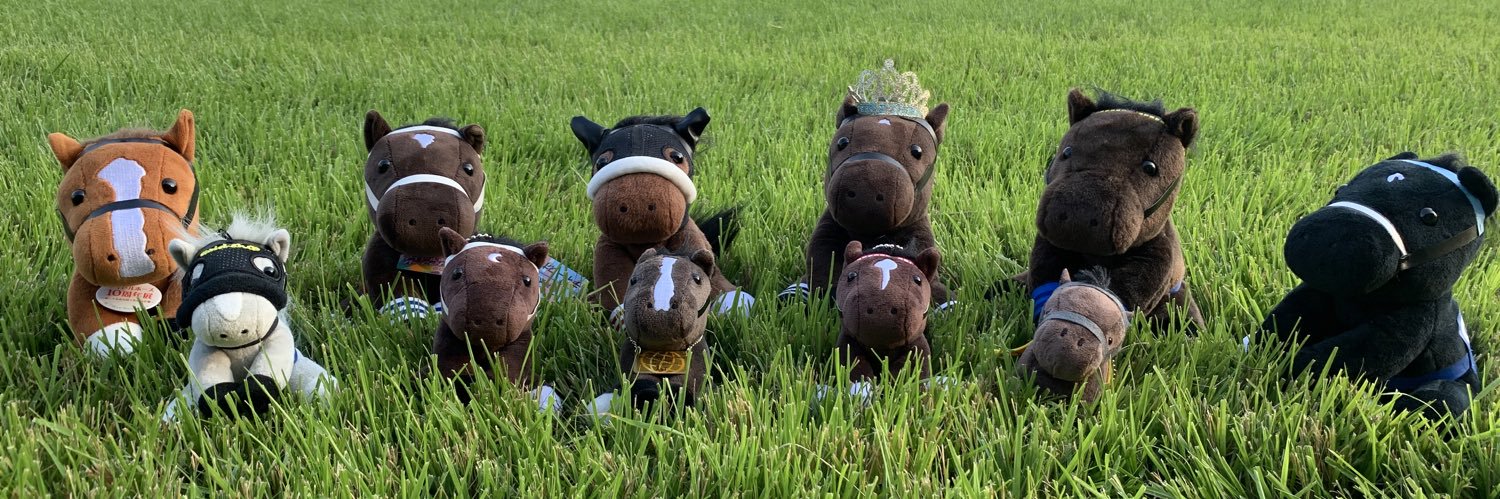 bunastb49's profile banner image