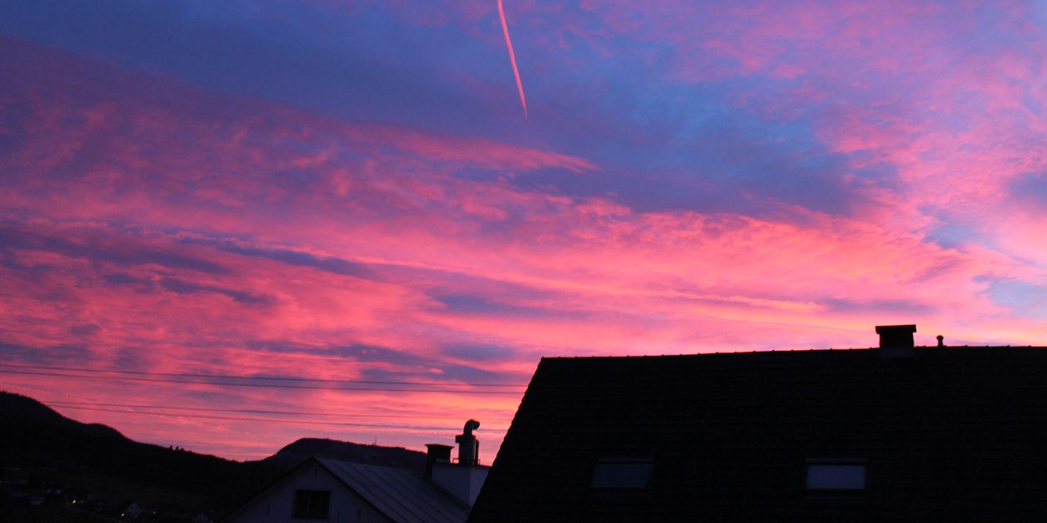 magdalenchien's profile banner image