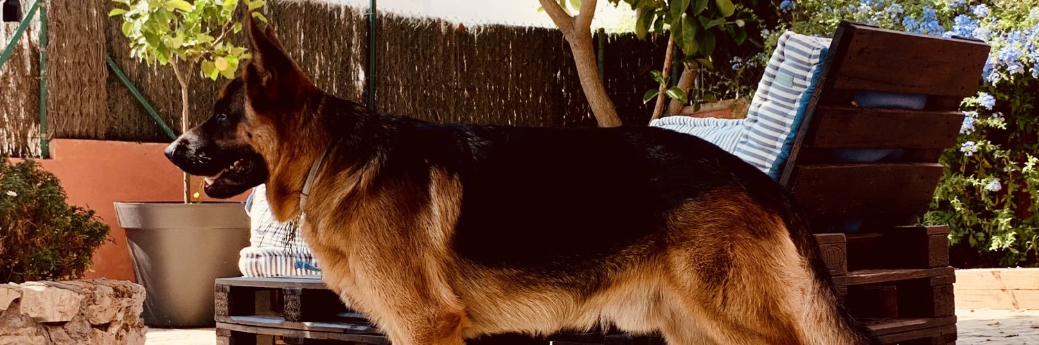 JoanSanta's profile banner image