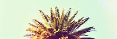 Melvin Raulin banner