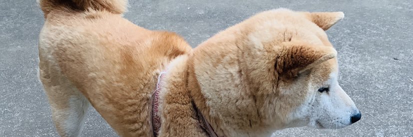 maicharo210's profile banner image