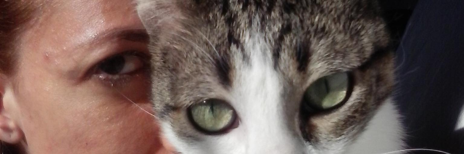 Elisavetius's profile banner image