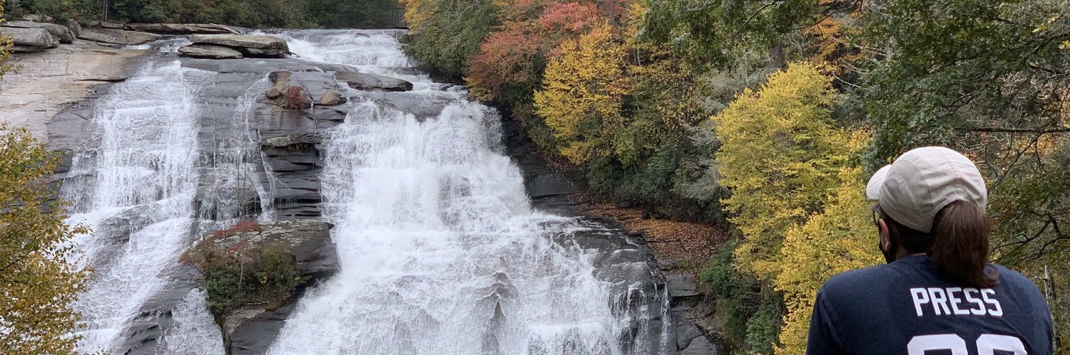 Emily Neesley banner