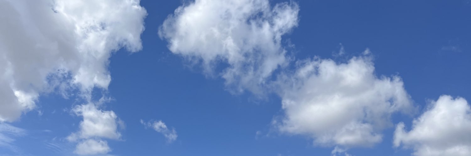 zoom.algo banner