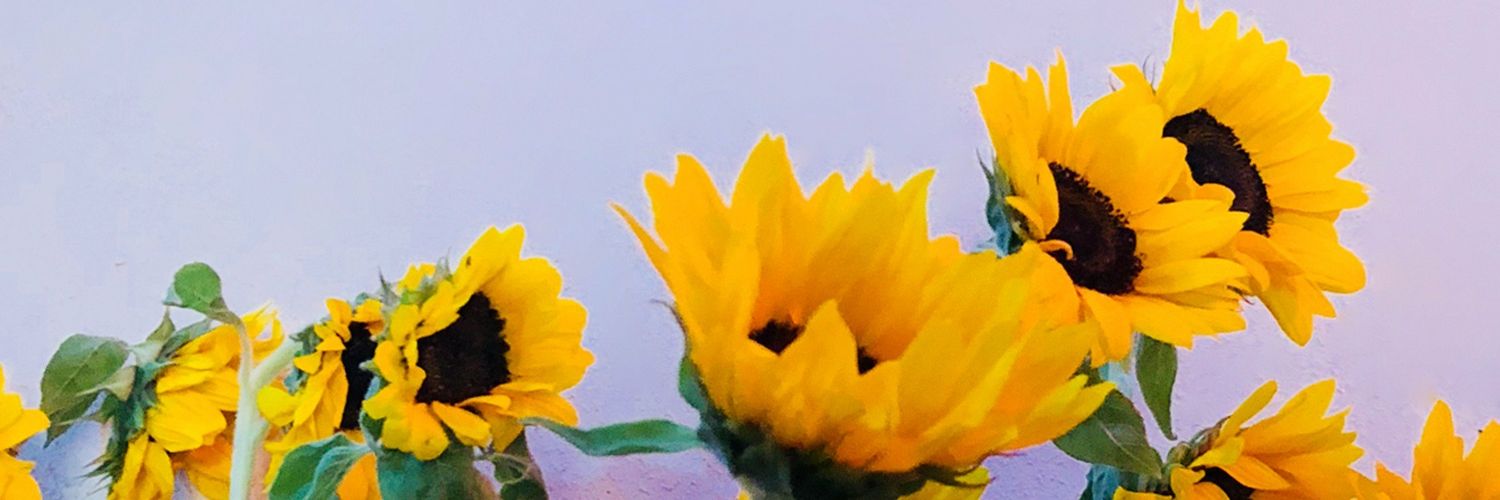 mo_sc_'s profile banner image