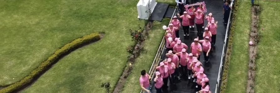 oncofeperu's profile banner image