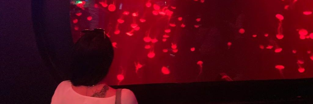 hytcel's profile banner image