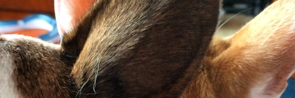 mabs39's profile banner image