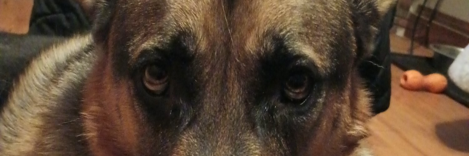 mikenewtech's profile banner image