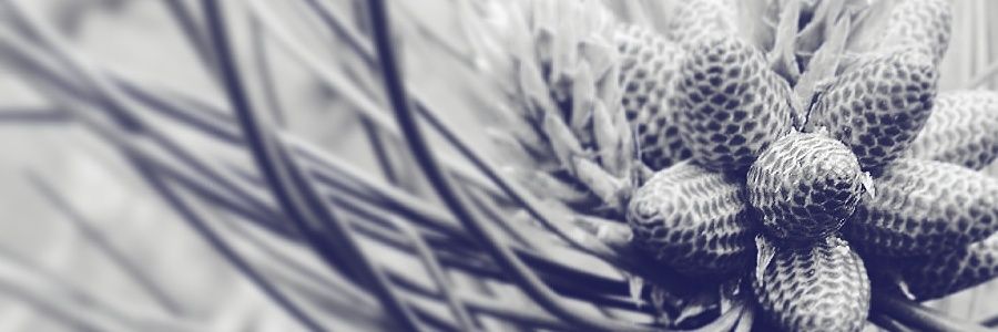 HTroler's profile banner image