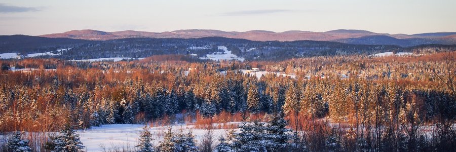 JasonKirchick's profile banner image
