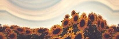 🌊 banner